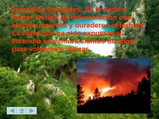 Incendios forestales:  Se le podría llamar un tipo de deforestación con efectos masivos y duraderos al terreno. La tierra que ha sido expuesta al incendio se demora cientos de años para volverse a utilizar. 