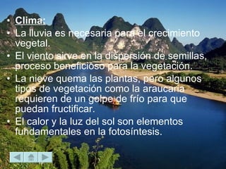 Clima: La lluvia es necesaria para el crecimiento vegetal. El viento sirve en la dispersión de semillas, proceso beneficioso para la vegetación. La nieve quema las plantas, pero algunos tipos de vegetación como la araucaria requieren de un golpe de frío para que puedan fructificar.  El calor y la luz del sol son elementos fundamentales en la fotosíntesis. 