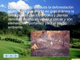Deforestación :  sin duda la deforestación es un factor que afecta en gran manera la tierra puesto que los árboles y plantas demoran mucho en volver a crecer y son elementos importantes para el medio ambiente.  