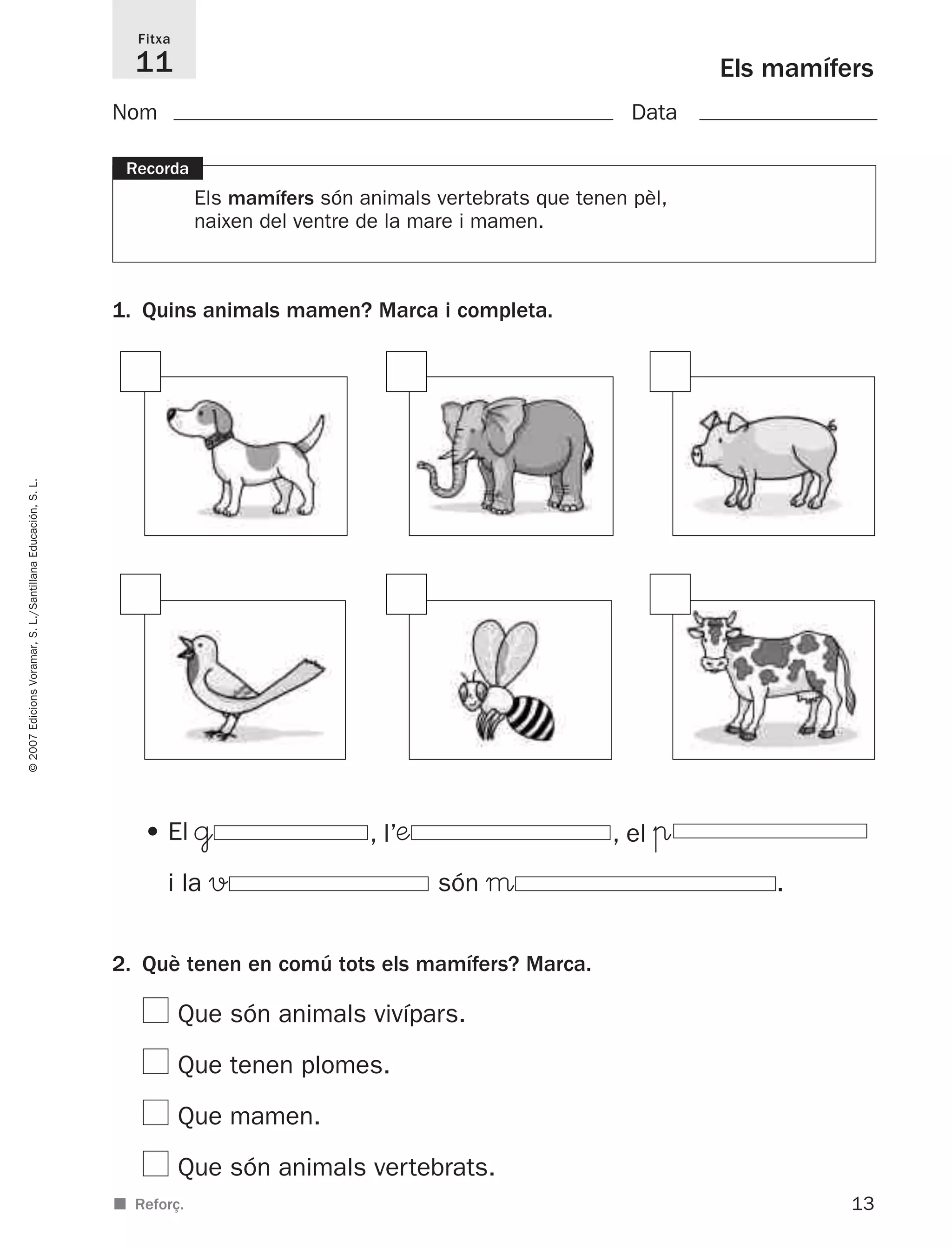 13
©2007EdicionsVoramar,S.L./SantillanaEducación,S.L.
Els mamífers
Fitxa
11
■ Reforç.
Recorda
Els mamífers són animals vertebrats que tenen pèl,
naixen del ventre de la mare i mamen.
1. Quins animals mamen? Marca i completa.
2. Què tenen en comú tots els mamífers? Marca.
Que són animals vivípars.
Que tenen plomes.
Que mamen.
Que són animals vertebrats.
• El @ , l’æ , el π
i la v són μ .
Nom Data
825716 _ 0001-0040.qxd 13/4/07 12:18 Página 13
 