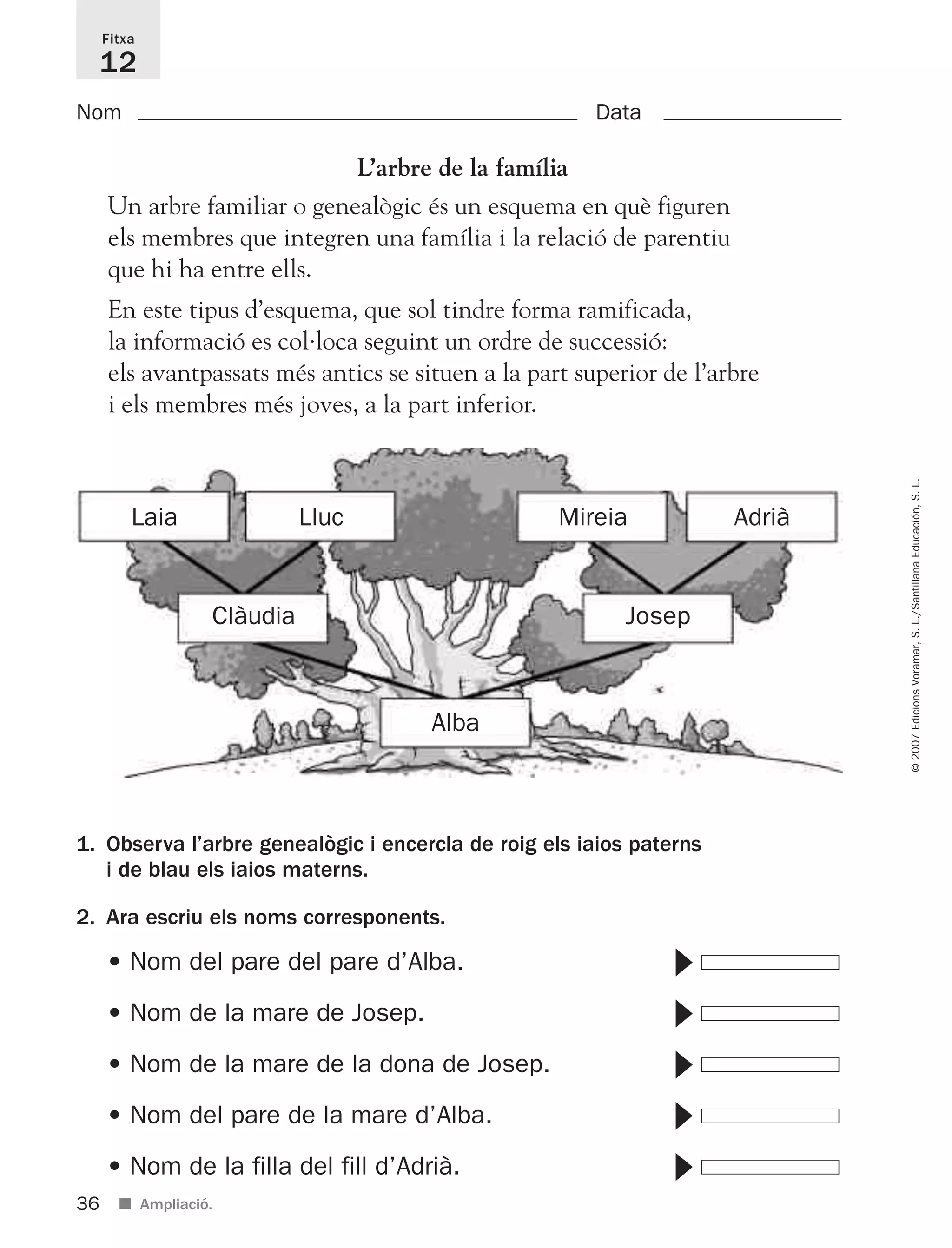 ©2007EdicionsVoramar,S.L./SantillanaEducación,S.L.
Fitxa
12
Nom Data
36 ■ Ampliació.
L’arbre de la família
Un arbre familiar o genealògic és un esquema en què figuren
els membres que integren una família i la relació de parentiu
que hi ha entre ells.
En este tipus d’esquema, que sol tindre forma ramificada,
la informació es col·loca seguint un ordre de successió:
els avantpassats més antics se situen a la part superior de l’arbre
i els membres més joves, a la part inferior.
1. Observa l’arbre genealògic i encercla de roig els iaios paterns
i de blau els iaios materns.
2. Ara escriu els noms corresponents.
• Nom del pare del pare d’Alba. ᭤
• Nom de la mare de Josep. ᭤
• Nom de la mare de la dona de Josep. ᭤
• Nom del pare de la mare d’Alba. ᭤
• Nom de la filla del fill d’Adrià. ᭤
Laia Lluc
Clàudia Josep
Mireia Adrià
Alba
825716 _ 0001-0040.qxd 13/4/07 12:18 Página 36
 