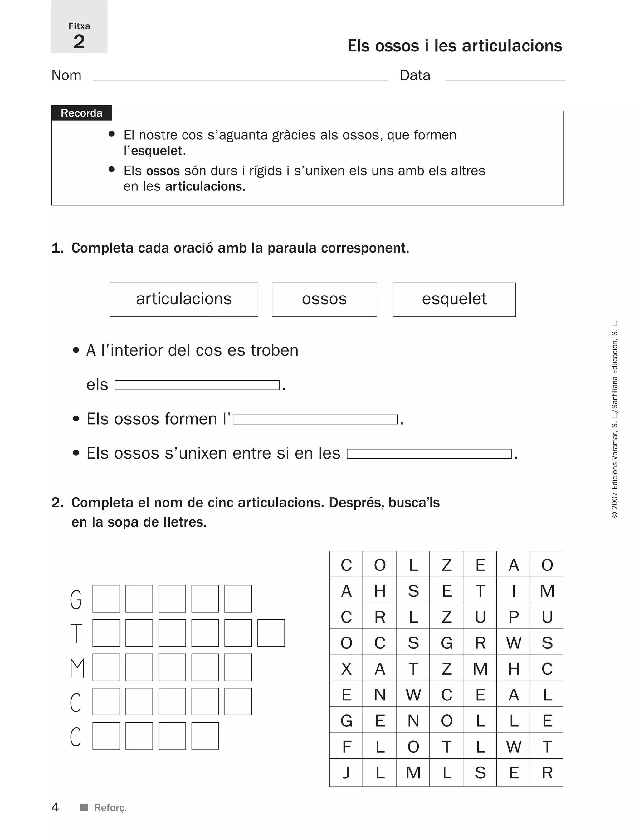 4
©2007EdicionsVoramar,S.L./SantillanaEducación,S.L.
1. Completa cada oració amb la paraula corresponent.
2. Completa el nom de cinc articulacions. Després, busca’ls
en la sopa de lletres.
G
T
M
C
C
■ Reforç.
Els ossos i les articulacions
Fitxa
2
Recorda
• El nostre cos s’aguanta gràcies als ossos, que formen
l’esquelet.
• Els ossos són durs i rígids i s’unixen els uns amb els altres
en les articulacions.
Nom Data
articulacions
• A l’interior del cos es troben
els .
• Els ossos formen l’ .
• Els ossos s’unixen entre si en les .
C O L Z E A O
A H S E T I M
C R L Z U P U
O C S G R W S
X A T Z M H C
E N W C E A L
G E N O L L E
F L O T L W T
J L M L S E R
ossos esquelet
825716 _ 0001-0040.qxd 13/4/07 12:18 Página 4
 