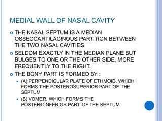 MEDIAL WALL OF NASAL CAVITY
 THE NASAL SEPTUM IS A MEDIAN
OSSEOCARTILAGINOUS PARTITION BETWEEN
THE TWO NASAL CAVITIES.
 SELDOM EXACTLY IN THE MEDIAN PLANE BUT
BULGES TO ONE OR THE OTHER SIDE, MORE
FREQUENTLY TO THE RIGHT.
 THE BONY PART IS FORMED BY :
 (A) PERPENDICULAR PLATE OF ETHMOID, WHICH
FORMS THE POSTEROSUPERIOR PART OF THE
SEPTUM
 (B) VOMER, WHICH FORMS THE
POSTEROINFERIOR PART OF THE SEPTUM
 
