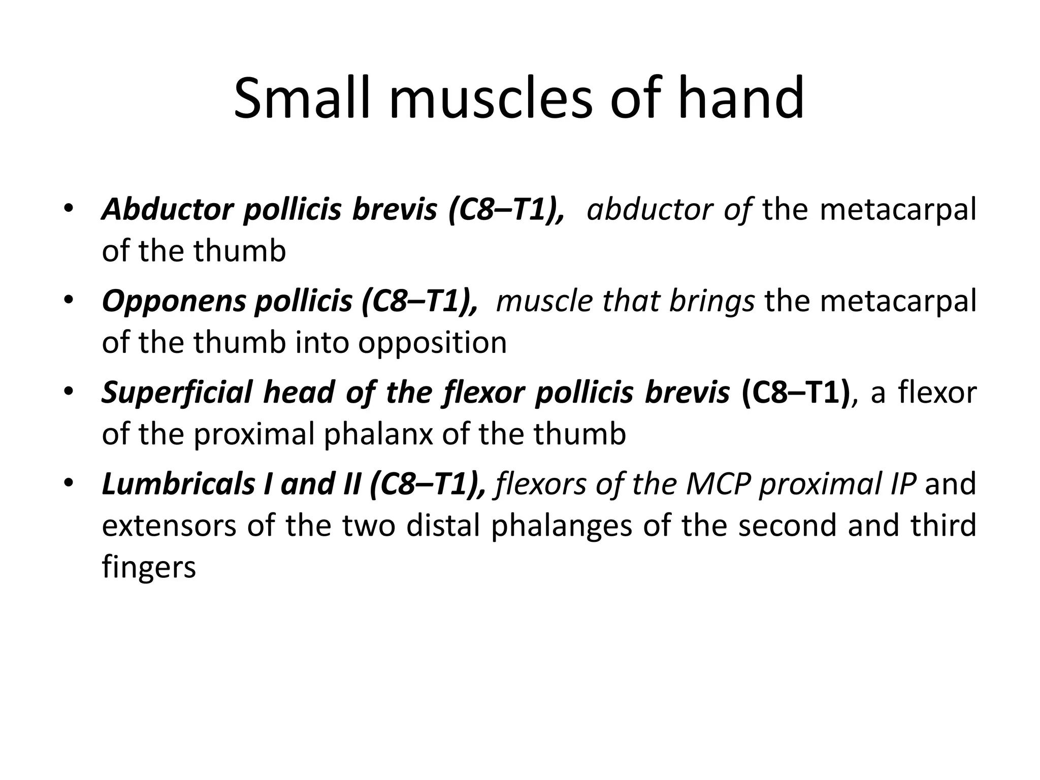 Small muscles of hand
• Abductor pollicis brevis (C8–T1), abductor of the metacarpal
of the thumb
• Opponens pollicis (C8–T1), muscle that brings the metacarpal
of the thumb into opposition
• Superficial head of the flexor pollicis brevis (C8–T1), a flexor
of the proximal phalanx of the thumb
• Lumbricals I and II (C8–T1), flexors of the MCP proximal IP and
extensors of the two distal phalanges of the second and third
fingers
 