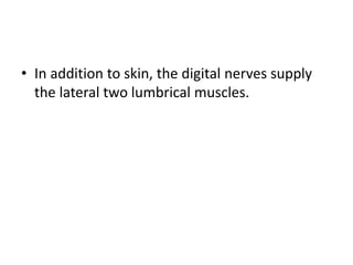 • In addition to skin, the digital nerves supply
the lateral two lumbrical muscles.
 