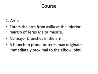 Course
1. Arm:
• Enters the arm from axilla at the inferior
margin of Teres Major muscle.
• No major branches in the arm.
• A branch to pronator teres may originate
immediately proximal to the elbow joint.
 