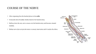 COURSE OF THE NERVE
• After originating from the brachial plexus in the axilla
• It descends down the arm, initially lateral to the brachial artery.
• Halfway down the arm, nerve crosses over the brachial artery and becomes situated
medially.
• Median nerve does not provide motor or sensory innervation until it reaches the elbow.
 