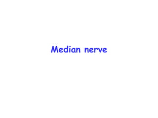 Median nerve
 