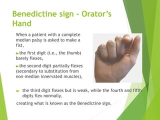 Median Nerve presentation by vijay orthopedic | PPTX