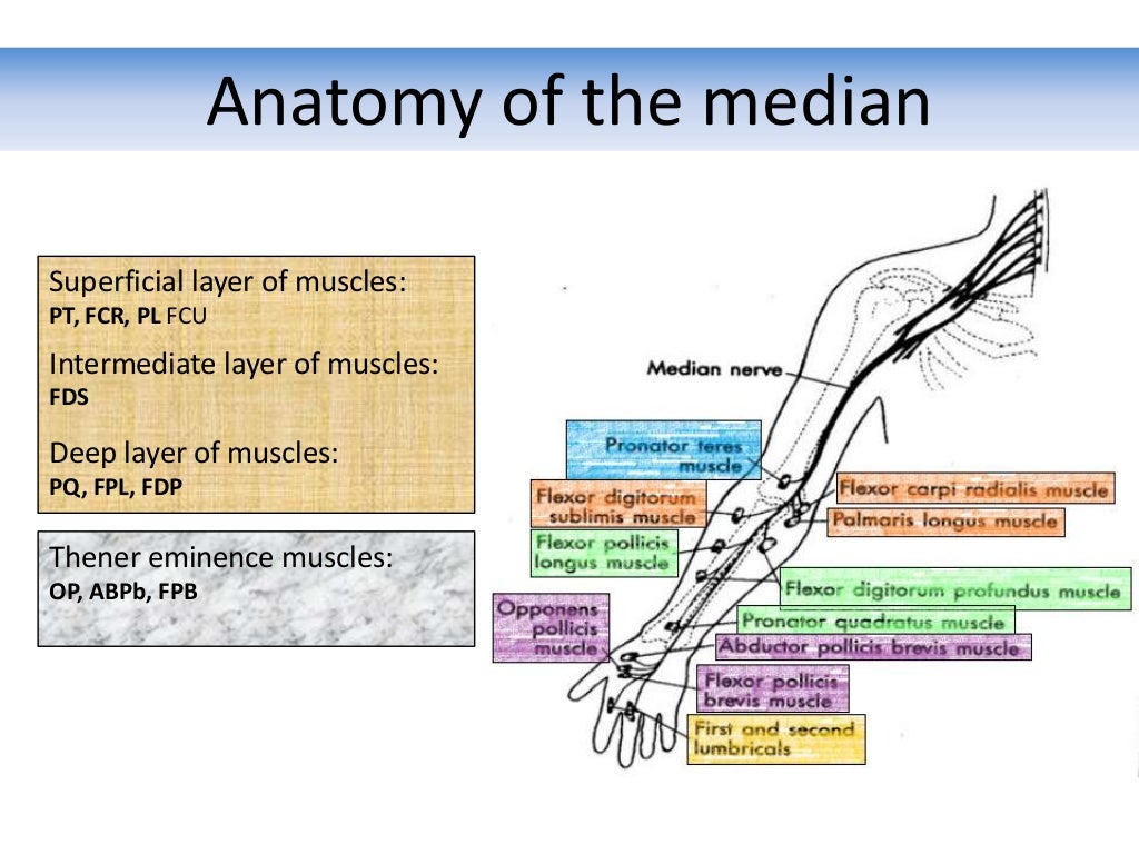 Median Nerve Injuries