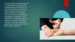 3. Flexor digitorum superficialis (C8,
T1) assessment: To test proximal
interphalangeal joint flexion, the
supinated forearm and hand are
placed straight. This maneuver
places the finger to be tested
in mild flexion at the metacarpal–
phalangeal (knuckle) joint, and
stabilizes the remaining fingers in
extension, a position that allows
isolation of the flexor digitorum
superficialis. Ask the patient to flex
PIPjt againstresistance.
 