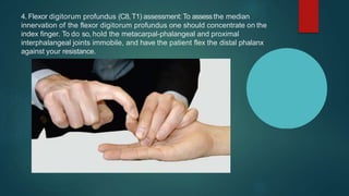 4. Flexor digitorum profundus (C8,T1) assessment: To assessthe median
innervation of the flexor digitorum profundus one should concentrate on the
index finger. To do so, hold the metacarpal-phalangeal and proximal
interphalangeal joints immobile, and have the patient flex the distal phalanx
against your resistance.
 
