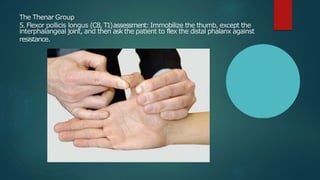 The Thenar Group
5. Flexor pollicis longus (C8, T1)assessment:Immobilize the thumb, except the
interphalangeal joint, and then ask the patient to flex the distal phalanx against
resistance.
 