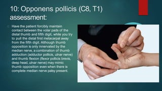 10: Opponens pollicis (C8, T1)
assessment:
Have the patient forcibly maintain
contact between the volar pads of the
distal thumb and fifth digit, while you try
to pull the distal first metacarpal away
from the fifth digit. Although thumb
opposition is only innervated by the
median nerve, a combination of thumb
adduction (adductor pollicis, ulnar nerve)
and thumb flexion (flexor pollicis brevis,
deep head, ulnar nerve) may mimic
thumb opposition even when there is
complete median nerve palsy present.
 