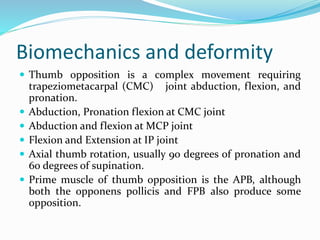 Biomechanics and deformity
 Thumb opposition is a complex movement requiring
trapeziometacarpal (CMC) joint abduction, flexion, and
pronation.
 Abduction, Pronation flexion at CMC joint
 Abduction and flexion at MCP joint
 Flexion and Extension at IP joint
 Axial thumb rotation, usually 90 degrees of pronation and
60 degrees of supination.
 Prime muscle of thumb opposition is the APB, although
both the opponens pollicis and FPB also produce some
opposition.
 