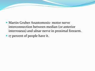 Martin Gruber Anastomosis- motor nerve
interconnection between median (or anterior
interroseus) and ulnar nerve in proximal forearm.
 17 percent of people have it.
 