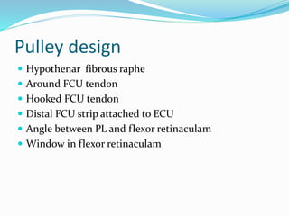 Pulley design
 Hypothenar fibrous raphe
 Around FCU tendon
 Hooked FCU tendon
 Distal FCU strip attached to ECU
 Angle between PL and flexor retinaculam
 Window in flexor retinaculam
 