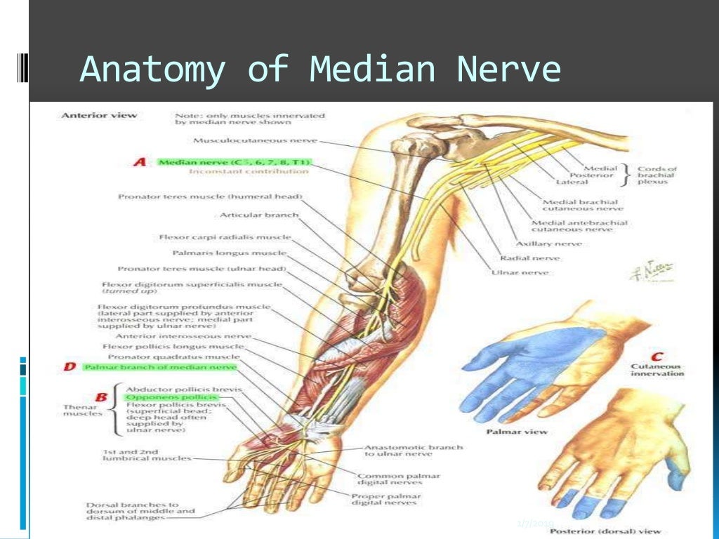 Median nerve injury