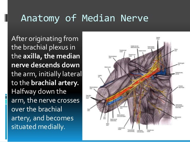 Median nerve injury