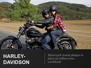 HARLEY-
DAVIDSON
Motorcycle brand pledges to
plant 50 million trees
worldwide
 