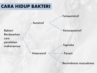 Media Pemb. Materi Bakteri Faradilla | PPTX
