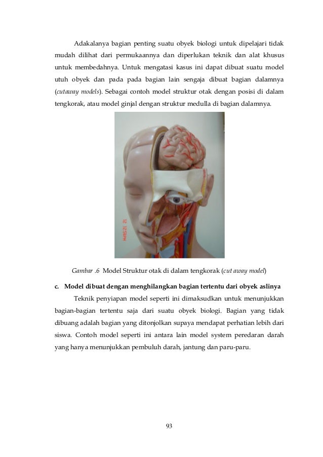 Unduh 550 Gambar Ginjal Utuh Dan Bagiannya Paling Baru Gratis