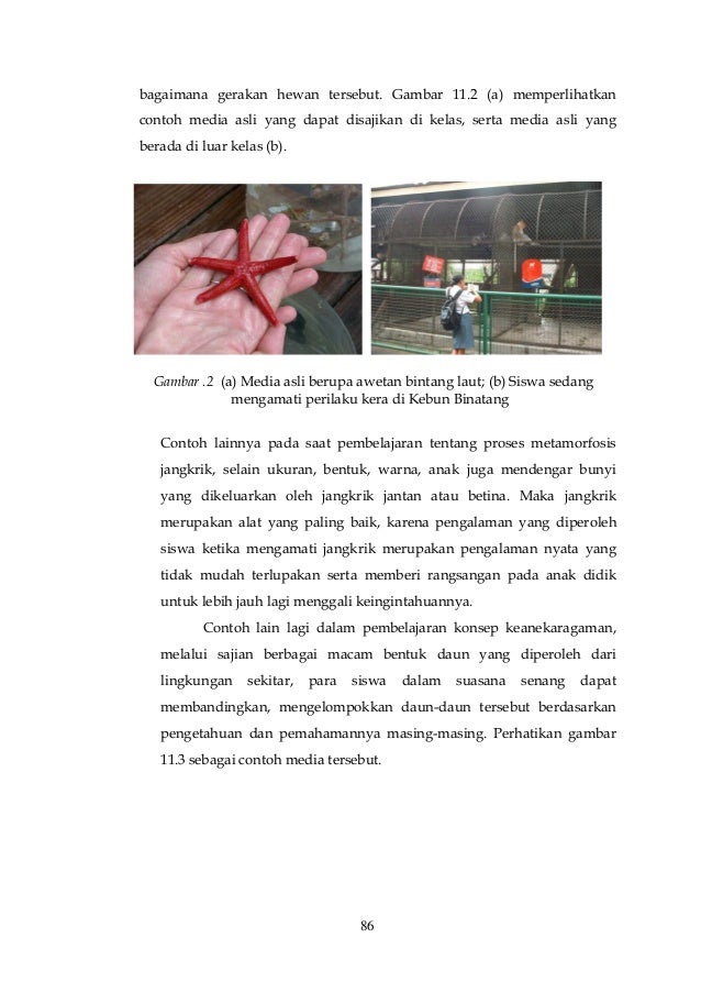 Media Pembelajaran Biologi