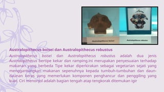 Australopithecus Boisei Tools.pdf Media_Pembelajaran_Biologi_Materi_Evolus.pptx