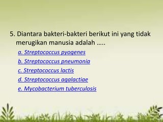 5. Diantara bakteri-bakteri berikut ini yang tidak
merugikan manusia adalah …..
a. Streptococcus pyogenes
b. Streptococcus pneumonia
c. Streptococcus lactis
d. Streptococcus agalactiae
e. Mycobacterium tuberculosis
 