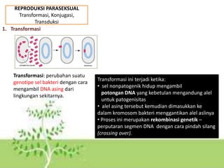 REPRODUKSI PARASEKSUAL
Transformasi, Konjugasi,
Transduksi
1. Transformasi
Transformasi: perubahan suatu
genotipe sel bakteri dengan cara
mengambil DNA asing dari
lingkungan sekitarnya.
Transformasi ini terjadi ketika:
• sel nonpatogenik hidup mengambil
potongan DNA yang kebetulan mengandung alel
untuk patogenisitas
• alel asing tersebut kemudian dimasukkan ke
dalam kromosom bakteri menggantikan alel aslinya
• Proses ini merupakan rekombinasi genetik –
perputaran segmen DNA dengan cara pindah silang
(crossing over).
 