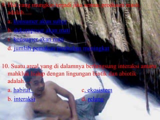 9. Hal yang mungkin terjadi jika semua produsen masti
   adalah….
   a. konsumer akan subur
   b. dekomposer akan mati
   c. konsumer akan mati
   d. jumlah pemakan tumbuhan meningkat

10. Suatu areal yang di dalamnya berlangsung interaksi antara
  mahkluk hidup dengan lingungan biotik dan abiotik
  adalah….
  a. habitat                   c. ekosistem
  b. interaksi                 d. relung
 