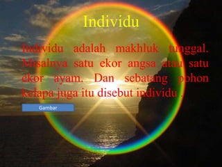Individu
Individu adalah makhluk tunggal.
Misalnya satu ekor angsa atau satu
ekor ayam. Dan sebatang pohon
kelapa juga itu disebut individu .
   Gambar
 
