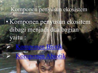 Komponen penyusun ekosistem

• Komponen penyusun ekositem
  dibagi menjadi dua bagian
  yaitu :
 Komponen Biotik
 Komponen Abiotik
 