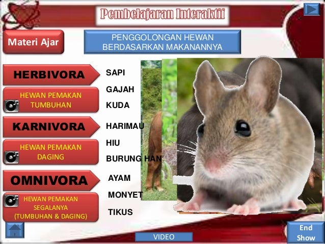 Media Pembelajaran Ipa Kls Iv