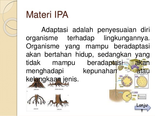 Media pembelajaran kelas 4 SD Nur Hidayanti