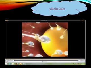 5.Media Video
 