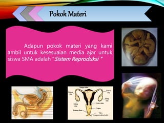 Pokok Materi
Adapun pokok materi yang kami
ambil untuk kesesuaian media ajar untuk
siswa SMA adalah “Sistem Reproduksi “
 