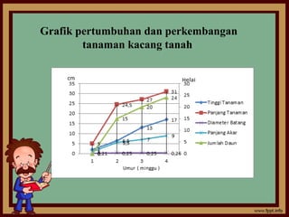 Grafik pertumbuhan dan perkembangan
tanaman kacang tanah
 