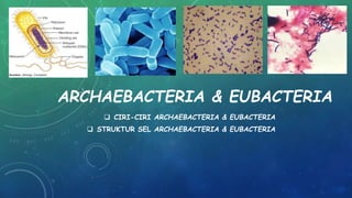 ARCHAEBACTERIA & EUBACTERIA
 CIRI-CIRI ARCHAEBACTERIA & EUBACTERIA
 STRUKTUR SEL ARCHAEBACTERIA & EUBACTERIA
 