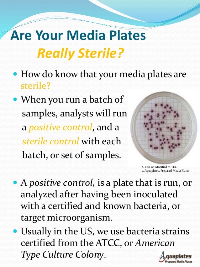 Prepared media plate sterilization methods
