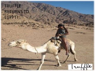 TRUFFLE
RETURNS TO
EGYPT!
GET YOUR TICKETS NOW!
More information on:
Ticketmaster.com
 