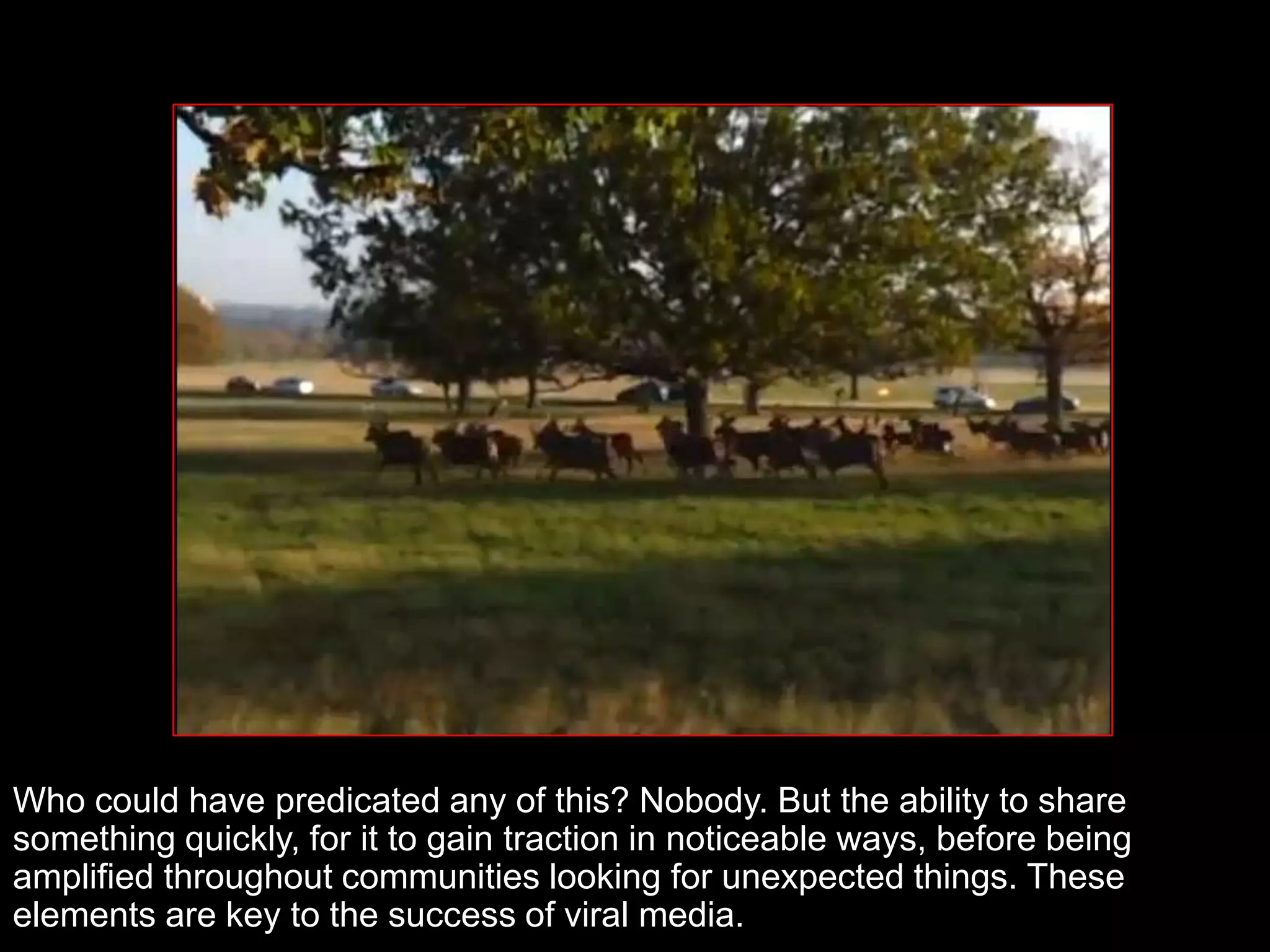 Who could have predicated any of this? Nobody. But the ability to share
something quickly, for it to gain traction in noticeable ways, before being
amplified throughout communities looking for unexpected things. These
elements are key to the success of viral media.
 