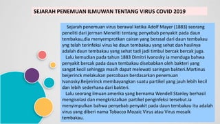SEJARAH PENEMUAN ILMUWAN TENTANG VIRUS COVID 2019
Sejarah penemuan virus berawal ketika Adolf Mayer (1883) seorang
peneliti dari jerman Meneliti tentang penyebab penyakit pada daun
tembakau,dia menyemprotkan cairan yang berasal dari daun tembakau
yng telah terinfeksi virus ke daun tembakau yang sehat dan hasilnya
adalah daun tembakau yang sehat tadi jadi timbul bercak bercak juga.
Lalu kemudian pada tahun 1883 Dimitri Ivanosky ia menduga bahwa
penyakit bercak pada daun tembakau disebabkan oleh bakteri yang
sangat kecil sehingga masih dapat melewati saringan bakteri.Martinus
beijerinck melakukan percobaan berdasarkan penemuan
Ivanosky.Beijeirinck membayangkan suatu partikel yang jauh lebih kecil
dan lebih sederhana dari bakteri.
Lalu seorang ilmuan amerika yang bernama Wendell Stanley berhasil
mengisolasi dan mengkristalkan partikel penginfeksi tersebut.ia
menyimpulkan bahwa penyebab penyakit pada daun tembakau itu adalah
virus yang diberi nama Tobacco Mozaic Virus atau Virus mosaik
tembakau.
 
