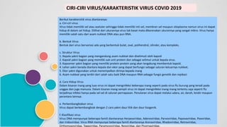 CIRI-CIRI VIRUS/KARAKTERISTIK VIRUS COVID 2019
Berikut karaktersitik virus diantaranya:
a. Ciri-ciri virus
Virus tidak memiliki sel atau aseluler sehingga tidak memiliki inti sel, membran sel maupun sitoplasma namun virus ini dapat
hidup di dalam sel hidup. Dilihat dari ukurannya virus tak kasat mata dikarenakan ukurannya yang sangat mikro. Virus hanya
memiliki salah satu dari asam nukleat DNA atau pun RNA.
b. Bentuk Virus
Bentuk dari virus bervariasi ada yang berbentuk bulat, oval, polihendral, silinder, atau kompleks.
c. Struktur Virus
1. Kepala yakni bagian yang mengandung asam nukleat dan diselimuti oleh kapsid
2. Kapsid yakni bagian yang memiliki sub unit protein dan sebagai selimut untuk kepala virus.
3. Kapsomer yakni bagian yang memiliki protein-protein yang akan tergabung membentuk kapsid.
4. Leher yakni berada diantara kepala dan ekor yang dapat berfungsi sebagai saluran keluarnya nukleat.
5. Ekor yakni digunakan untuk menempelkan dirinya kepada inang
6. Asam nukleat yang terdiri dari salah satu baik DNA maupun RNA sebagai fungsi genetik dan repikasi
.
d. Cara Hidup Virus
Dalam kisaran inang yang luas virus ini dapat menginfeksi beberapa inang seperti pada virus flu burung yang teradi pada
unggas dan juga manusia. Dalam kisaran inang sempit virus ini dapat menginfeksi inang-inang tertentu saja seperti flu
terjadinya infeksi hanya pada sel-sel di saluran pernapasan. Penularan virus dapat melalui udara, air, darah, lendir maupun
perantara lainnya.
e. Perkembangbiakan virus
Virus dapat berkembangbiak dengan 2 cara yakni daur litik dan daur lisogenik.
f. Klasifikasi virus
Virus DNA mempunyai beberapa famili diantaranya Herpesviridae, Adenoviridae, Parvoviridae, Papovaviridae, Poxviridae,
dan Iridoviridae. Virus RNA mempunyai beberapa famili diantaranya Arenaviridae, Rhadoviridae, Retroviridae,
Orthomyxoviridae, Togaviridae, Paramyvoviridae, Reoviridae, dan Picornaviridae.
 