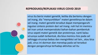 REPRODUKSI/REPLIKASI VIRUS COVID 2019
virus itu berisi materi genetik, ketika dia bertemu dengan
sel inang, dia "menyuntikkan" materi genetiknya ke dalam
sel inang. materi genetik tersebut dapat mempengaruhi
regulasi sintesis protein dari sel inang. nah hal ini memicu
sel inan untuk memperoduksi bahan-bahan pembentuk
virus sepeti materi genetik dan proteinnya. nanti kalau
virusnya sudah terbentuk, dia bisa memicu lisis pada sel
sehingga virusnya bebas dan menginfeksi sel lain., atau bisa
jadi, virus ini dorman dan menetap pada sel tersebut
dengan pengaruhnya terhadap aktivitas sel itu
 