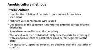 Aerobic culture methods
Streak culture
• Used for the isolation of bacteria in pure culture from clinical
specimens
• Platinum wire or Nichrome wire is used
• One loopful of the specimen is transferred onto the surface of a well
dried plate
• Spread over a small area at the periphery
• The inoculum is then distributed thinly over the plate by streaking it
with a loop in a series of parallel lines in different segments of the
plate
• On incubation, separated colonies are obtained over the last series of
streaks.
 