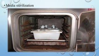 •Media sterilization
 