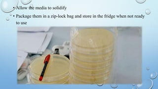 • Allow the media to solidify
• Package them in a zip-lock bag and store in the fridge when not ready
to use
 