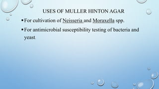 USES OF MULLER HINTON AGAR
For cultivation of Neisseria and Moraxella spp.
For antimicrobial susceptibility testing of bacteria and
yeast.
 
