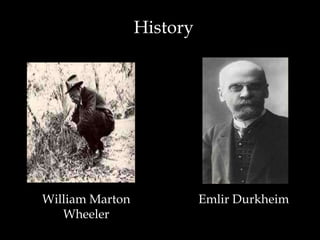 History




William Marton             Emlir Durkheim
   Wheeler
 